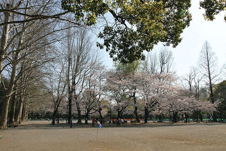 ヒュッテ目黒 林試の森公園