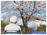 グッドタイムナーシングホーム・東糀谷 花見