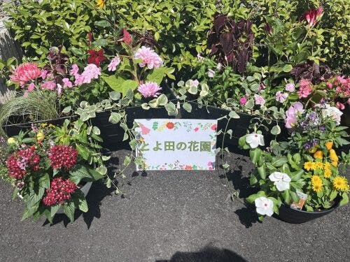さわやかとよ田の里 花壇作成