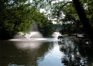 アライブ武蔵野御殿山 井の頭恩賜公園