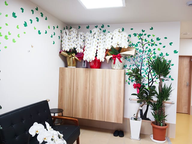 あいの八千代 和泉 花と植物