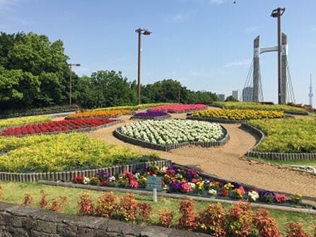 そんぽの家Ｓ木場公園 木場公園