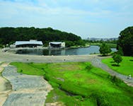 イハナハウス 21世紀の森と広場