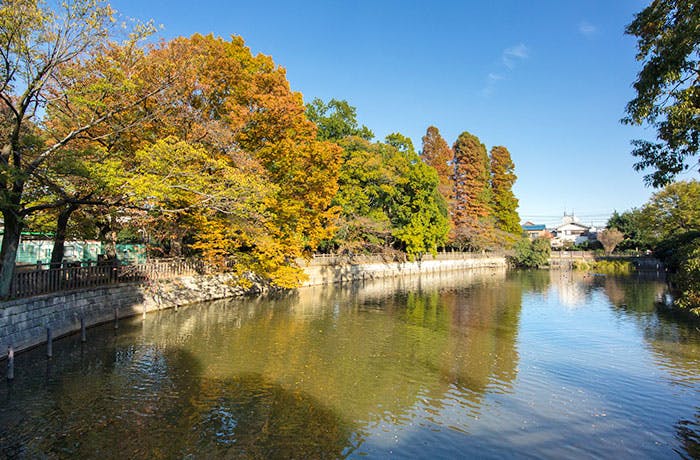 チャームプレミア柿の木坂 碑文谷公園