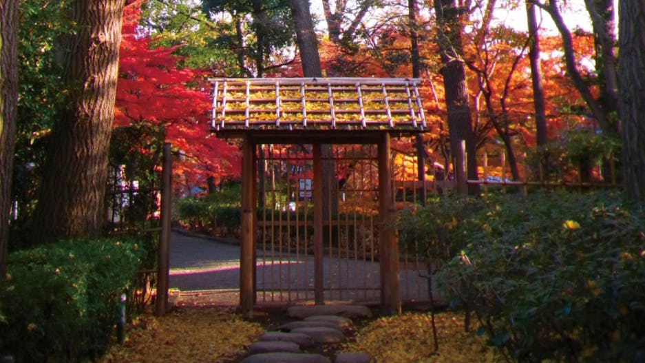 トラストガーデン荻窪 大田黒公園