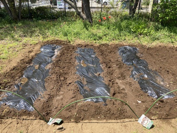 グループホームみんなの家・与野鈴谷 菜園