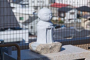 ローズライフ京都 屋上
