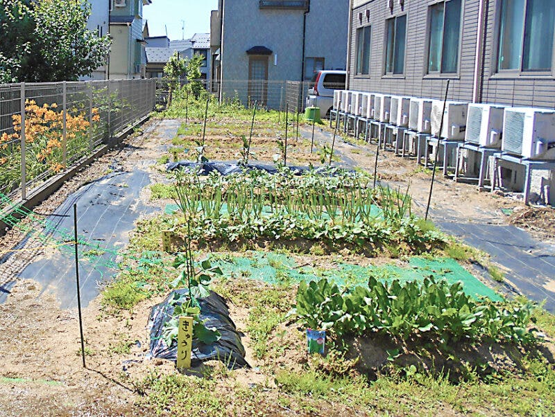 愛の家グループホーム長岡悠久 菜園