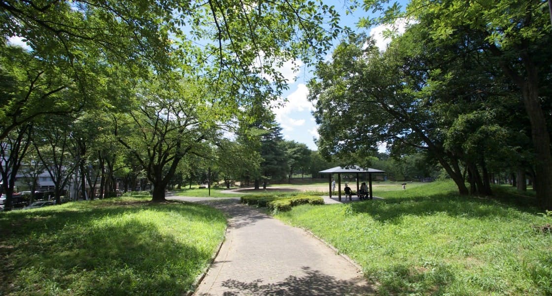 ヒルデモアたまプラーザ・ビレッジⅢ 美しが丘公園