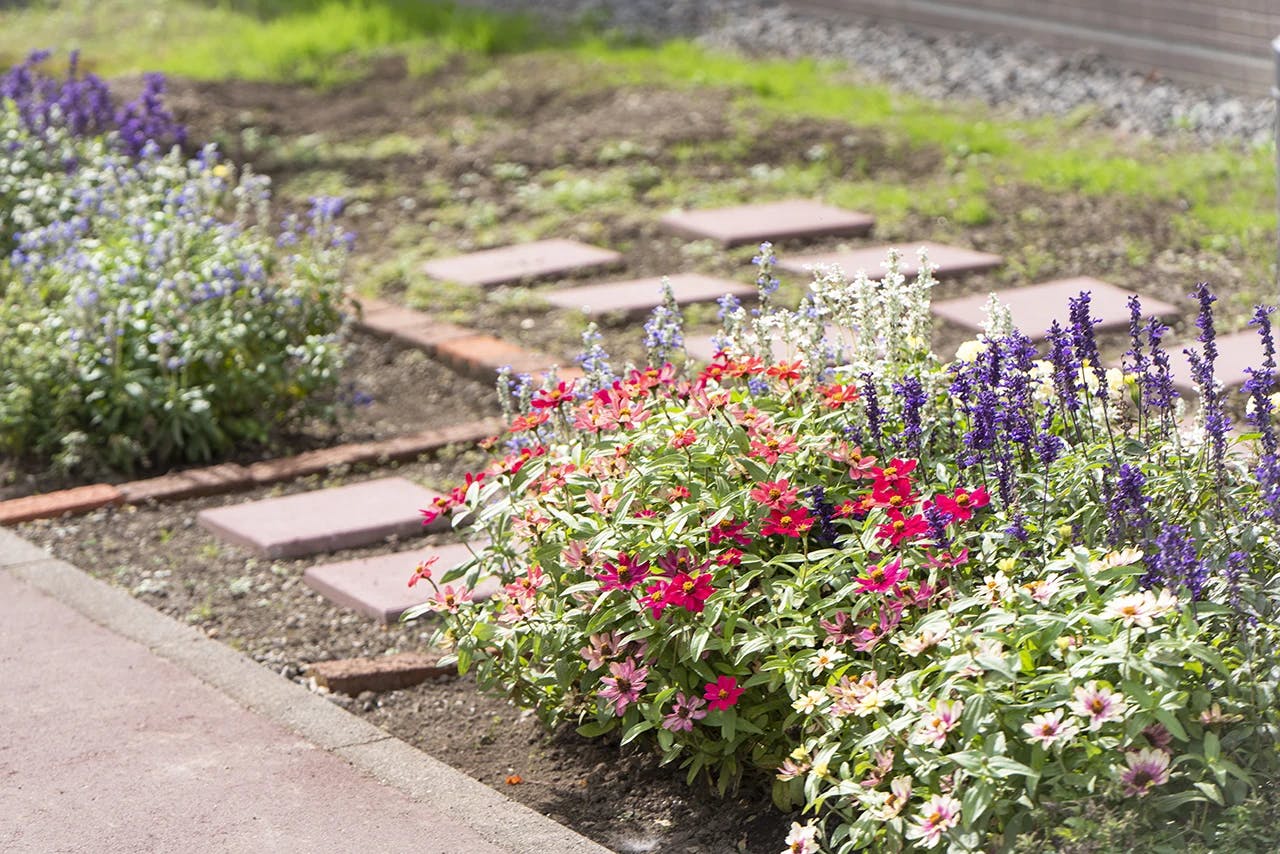 イリーゼ旭川３条通 花壇