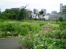 せらび恵比寿 中目黒公園