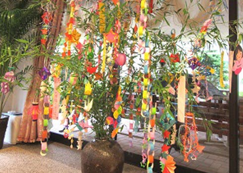 アイムス蓮根 七夕