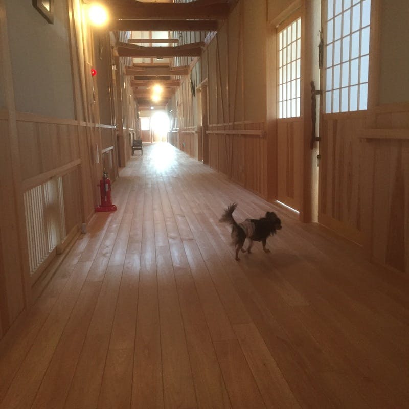 ごんの里 ヒノキの廊下