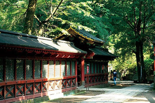 アズハイム文京白山 根津神社