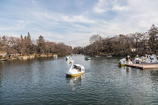 アズハイム三鷹 井の頭恩賜公園