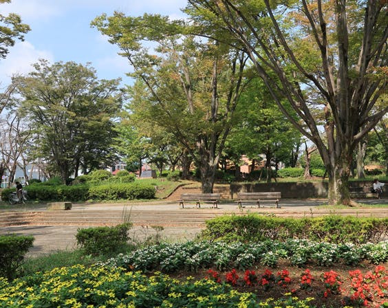 メヴィアン小金原 小金原公園