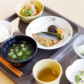 ウエルハウスキセラ 通常食