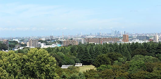 光が丘パークヴィラ 光が丘公園