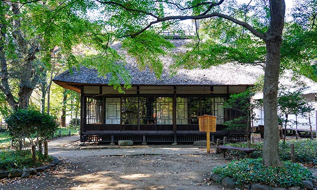 グランジュール世田谷船橋 都立蘆花恒春園