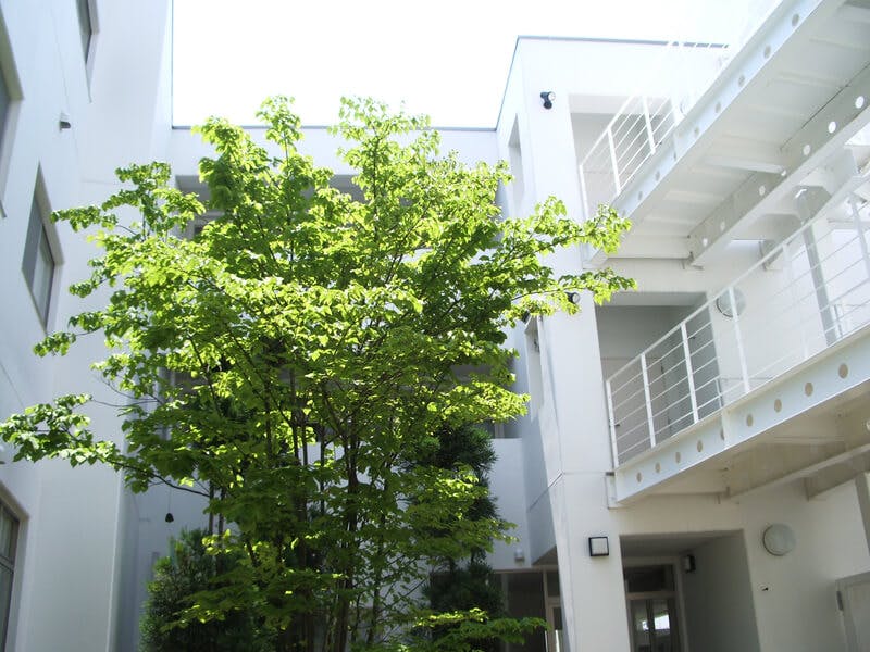 ライフェール 中庭