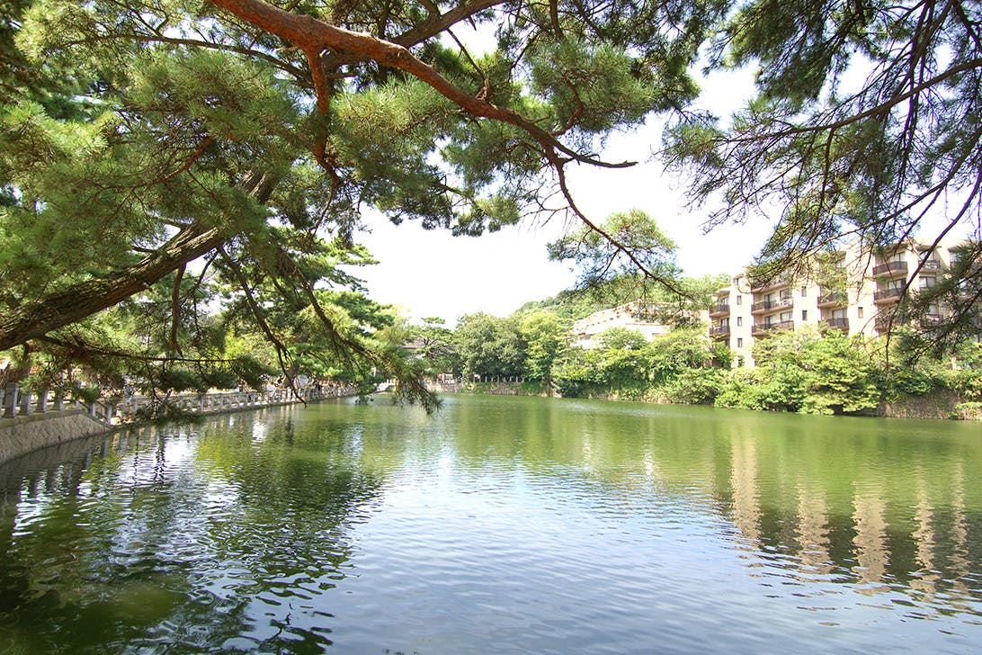 トラストグレイス御影 深田池公園