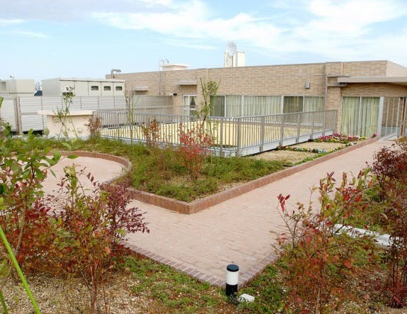 ライフコミューンふじみ野 屋上