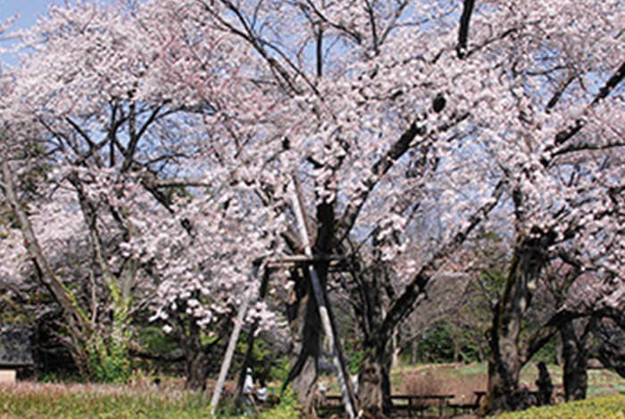 グッドタイムリビング調布 神代植物園