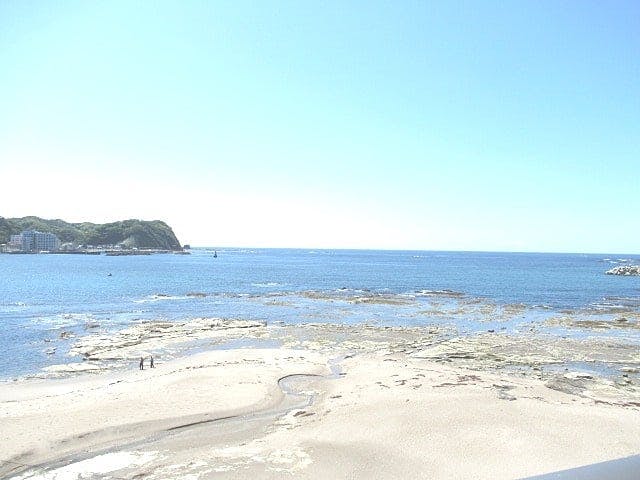 ジョイライフ鯛の浦 施設からの眺望
