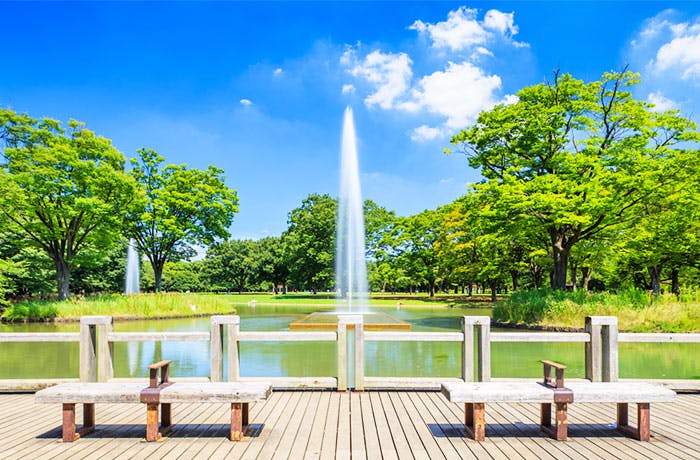 チャームプレミアグラン松濤 代々木公園