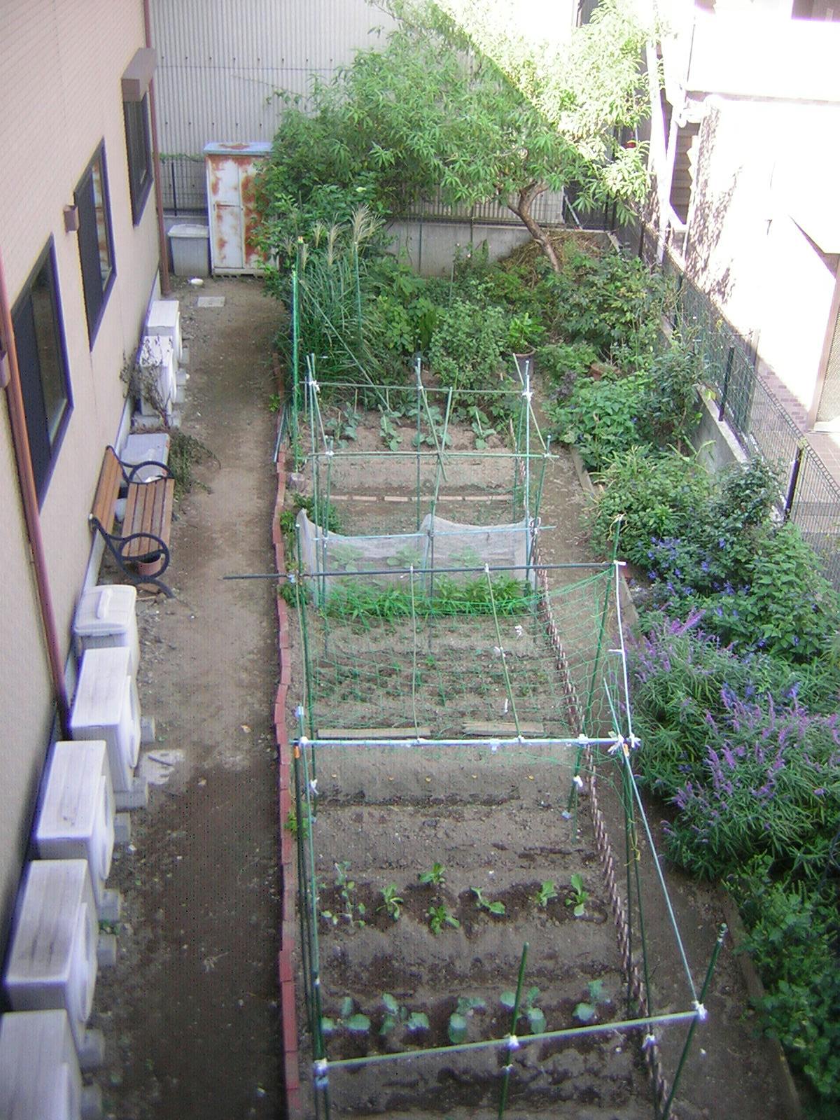 ニチイケアセンター川崎宮内 菜園