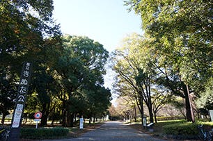 アイリスガーデン用賀 砧公園（きぬたこうえん）