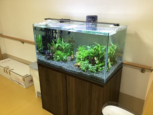 ひなた八尾 水槽