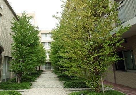 フォレスト垂水 壱番館 中庭