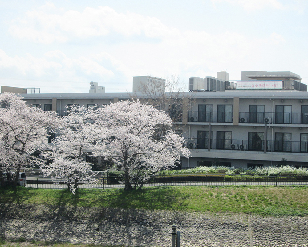 白小鳩橋めいせい 外観