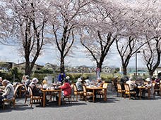ロイヤルハウス石岡新館 観桜会