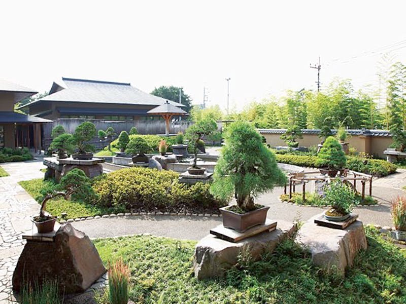 ハーウィル大宮土呂 大宮盆栽村