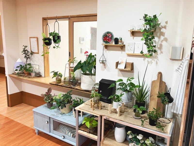 ホームステーションらいふ小田原 植物