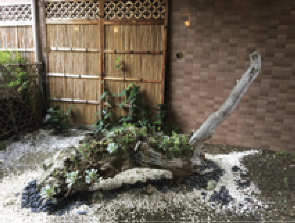 みつばメゾン与野本館 中庭
