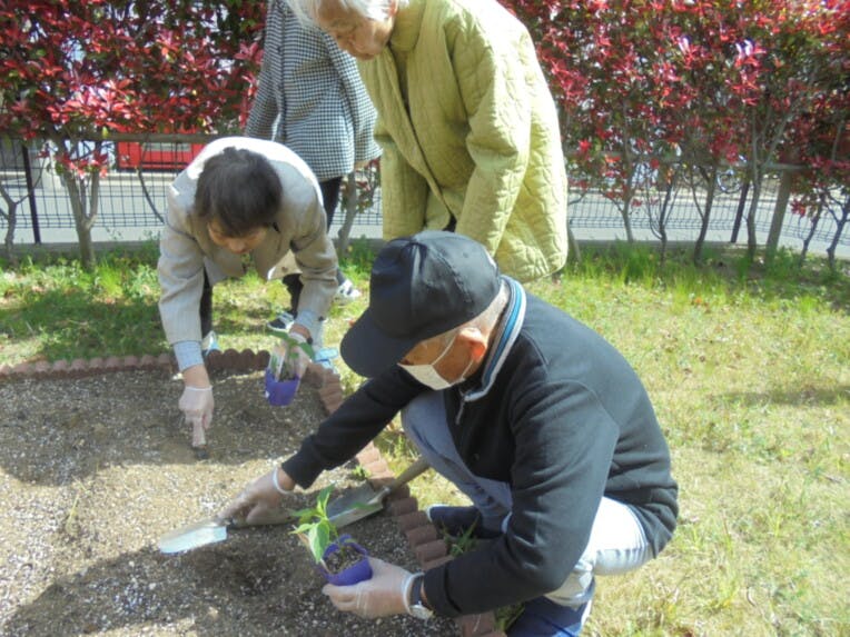 そんぽの家朝日ヶ丘 寄せ植え