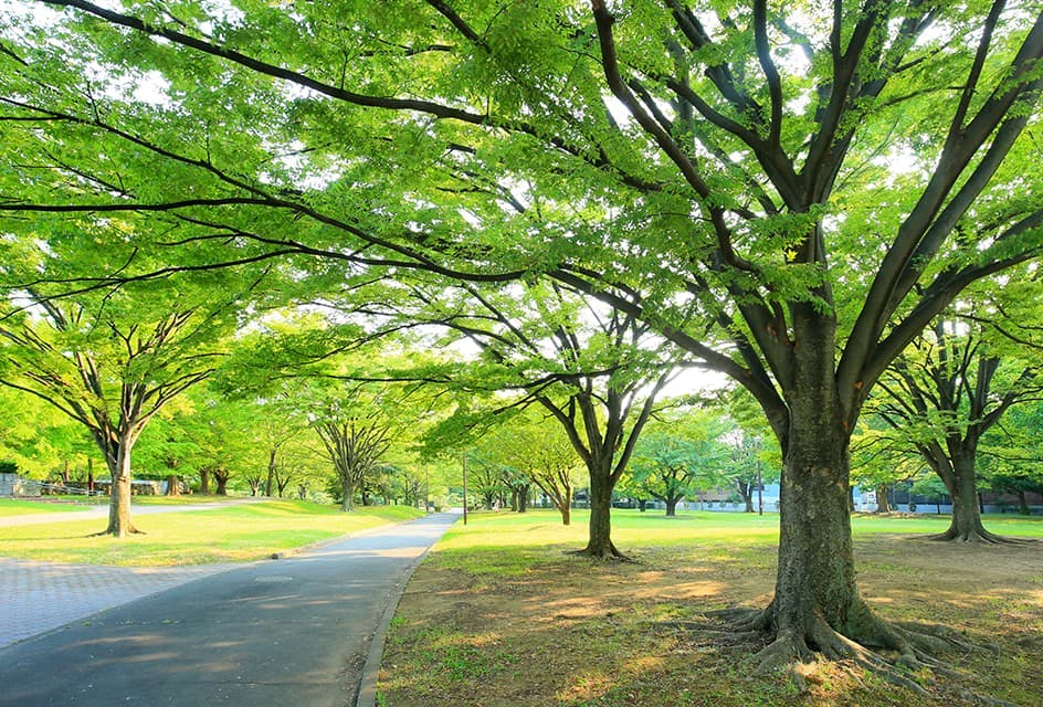 グッドタイムリビング亀戸 都立亀戸中央公園