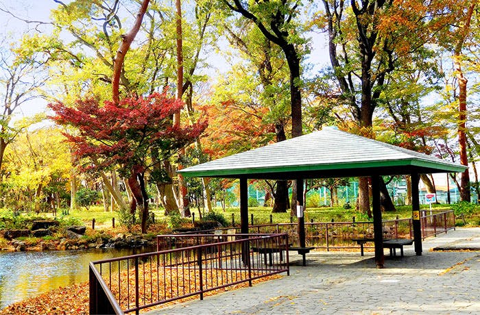 チャームプレミア浜田山 塚山公園