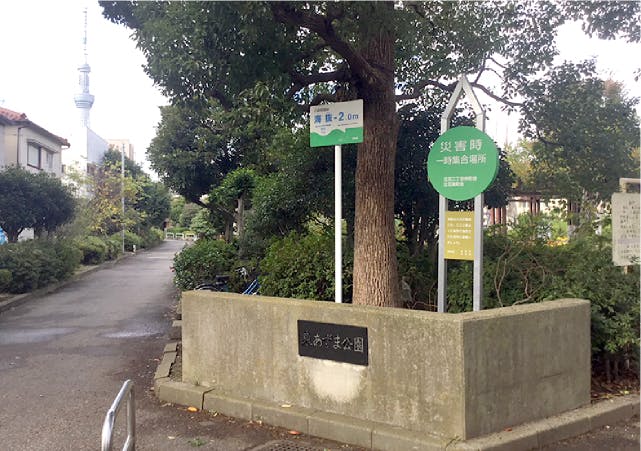 グランドマスト墨田文花 東あずま公園