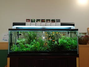 ソルケア西中島 観賞魚水槽