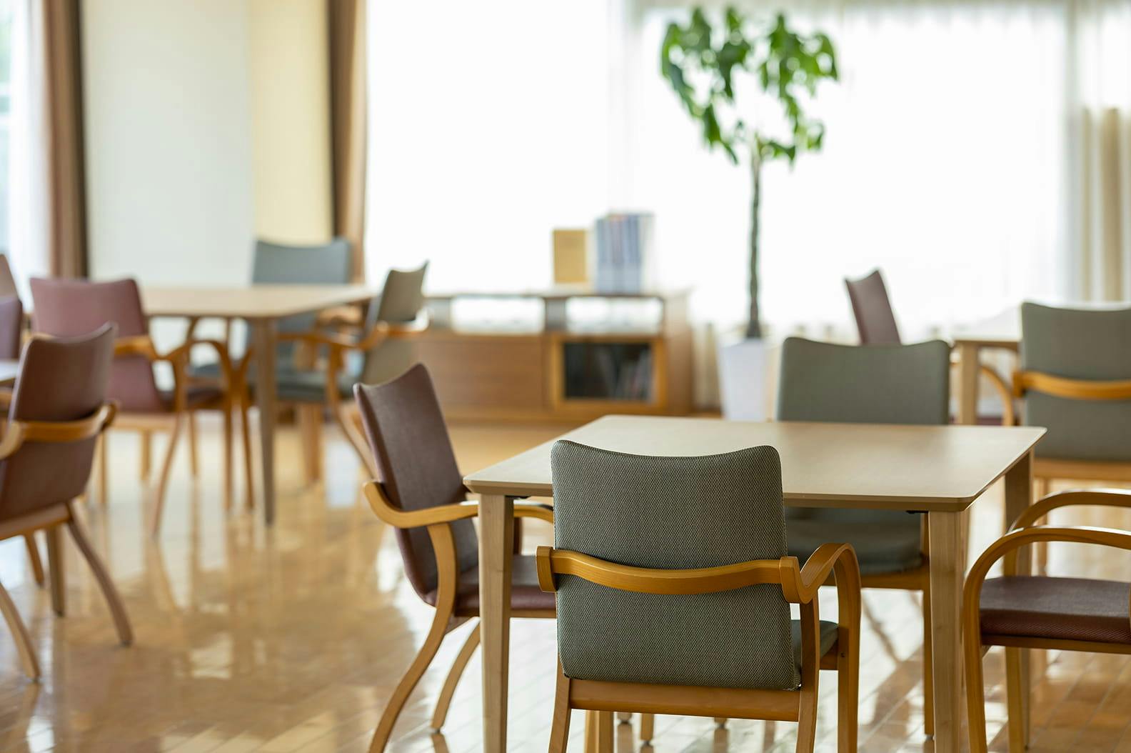 テラシス桜花 食堂