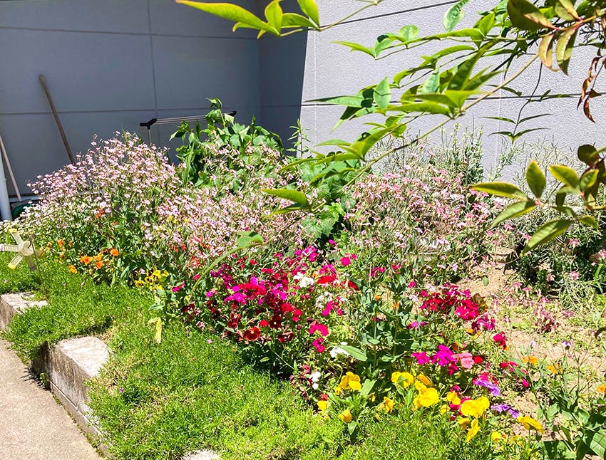愛の家グループホーム福富 花壇