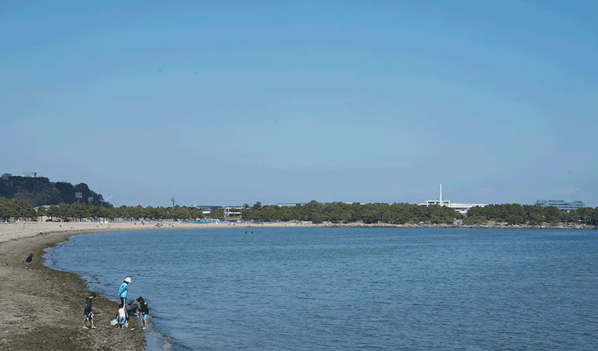 けいすいone’sホームしおさい 海の公園