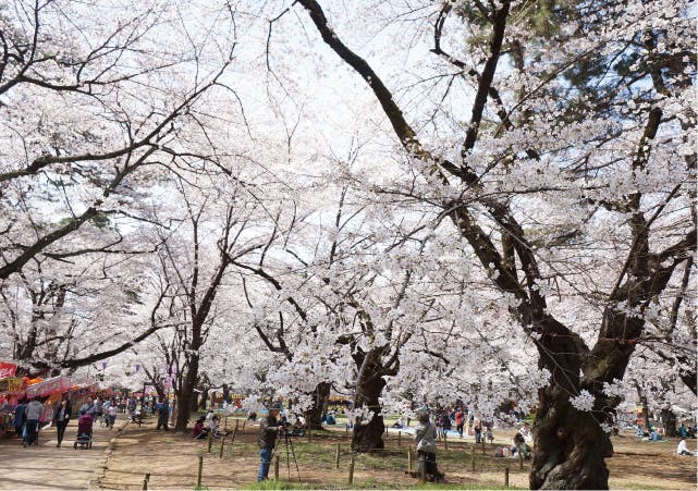 グランドマストアクティブ宮原 大宮公園