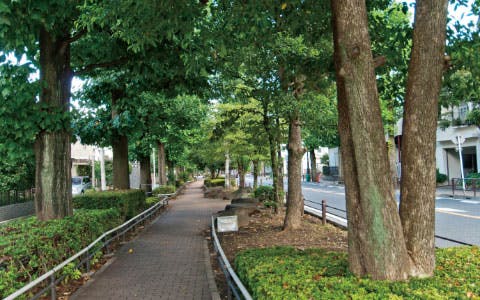 レオーダ経堂 ユリの木公園