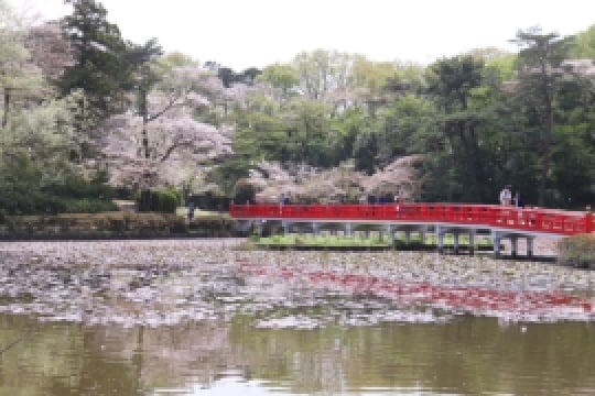 ドーミー岩槻LeviⅠ 岩槻城址公園