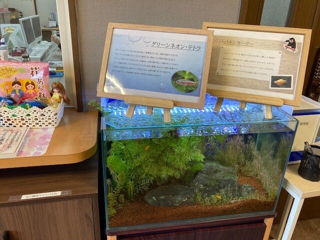 コミュニティホーム そんぽの家下中野 熱帯魚